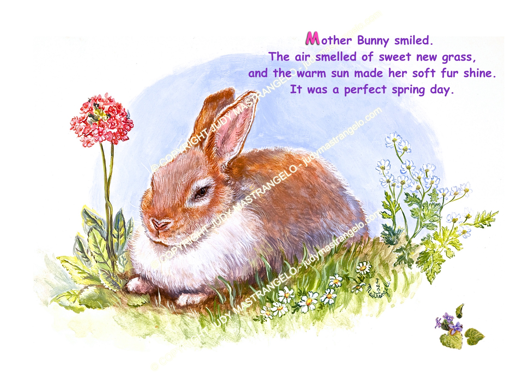 Bunny Examples What Do Bunnies Do All Day? – Judy Mastrangelo
